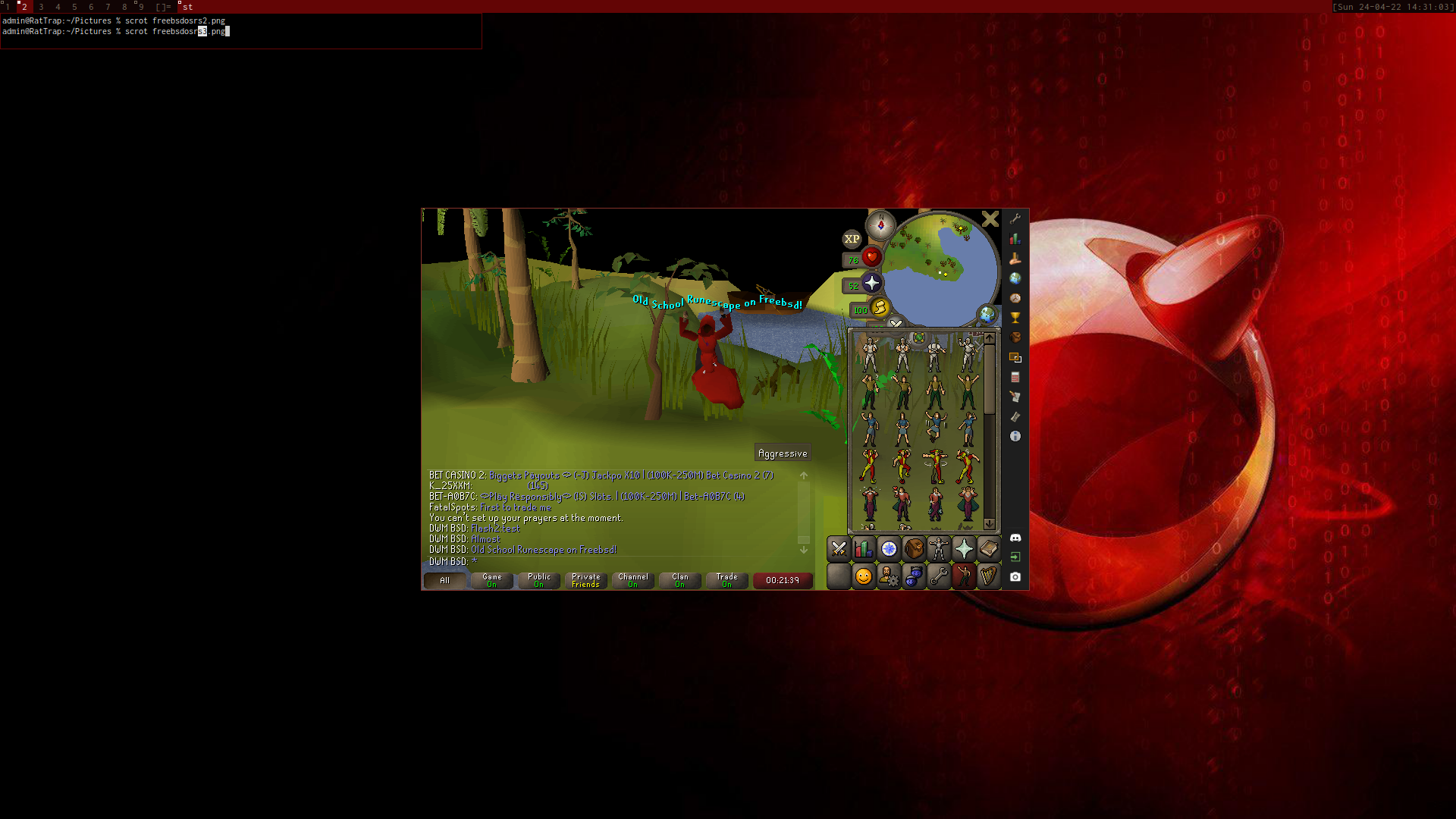 OSRS on FreeBSD 13